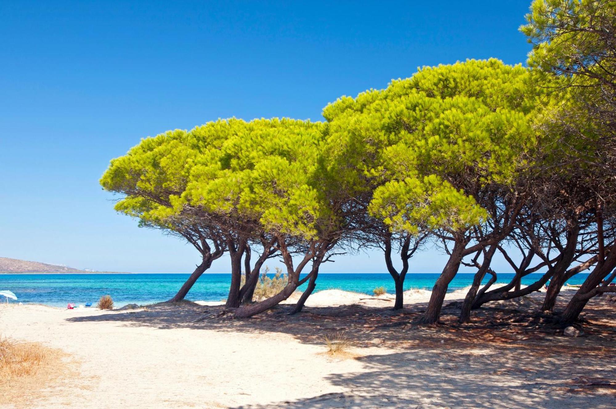 Hotel Futura Club Cala Fiorita Agrustos Exteriér fotografie